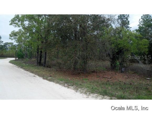 00 NE 40 St., Williston, FL 32696