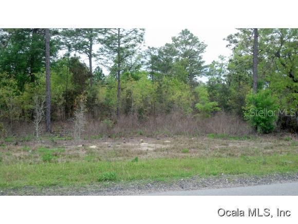 000 NE 40 St., Williston, FL 32696