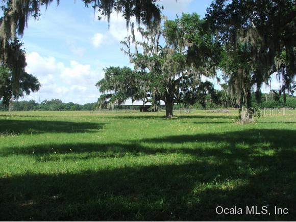 SE 183 Ter., Williston, FL 32696