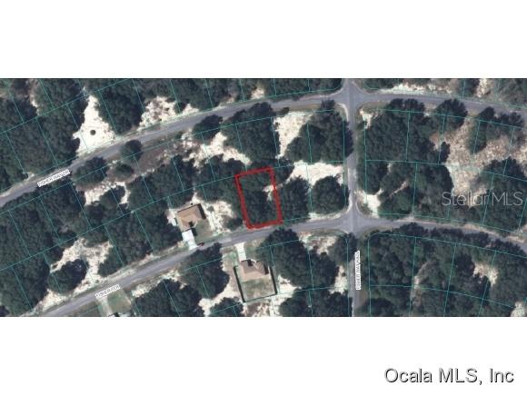 00 Fisher Ter., Ocklawaha, FL 32179