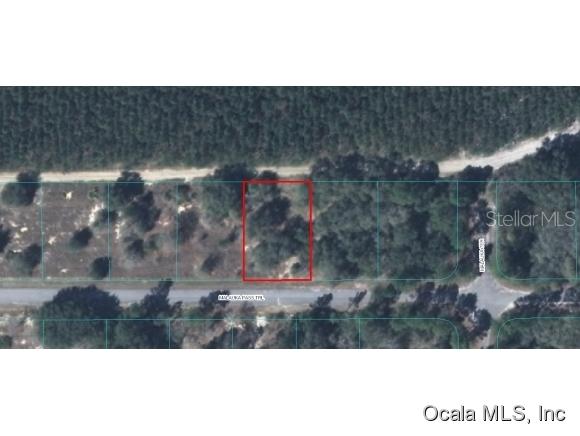 00 Malauka Pass Tr., Ocklawaha, FL 32179