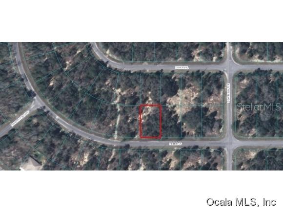 00 Fisher Ct., Ocklawaha, FL 32179