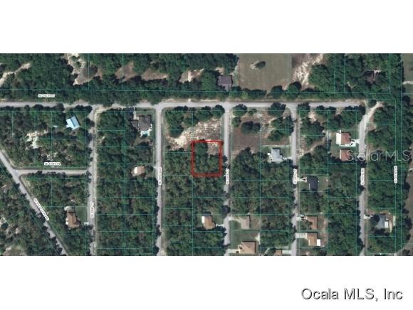 SE 93 Ct., Summerfield, FL 34491