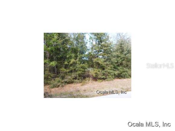 TBD Tbd 161 St., Summerfield, FL 34491