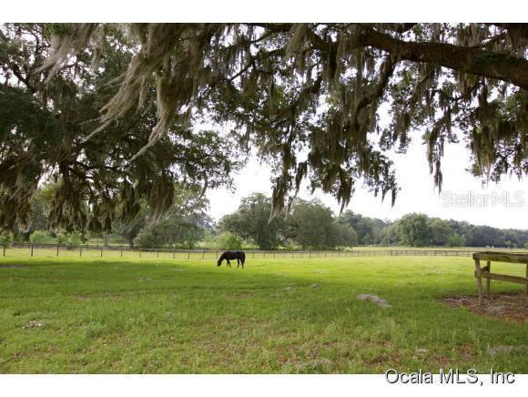 700 SE Highway 42, Summerfield, FL 34491