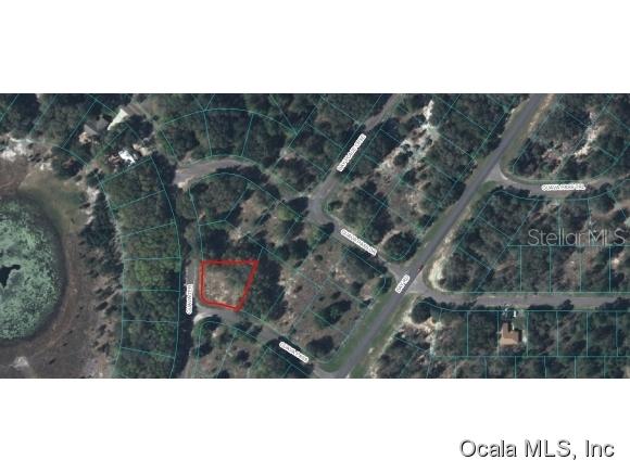 00 Guava Pass, Ocklawaha, FL 32179