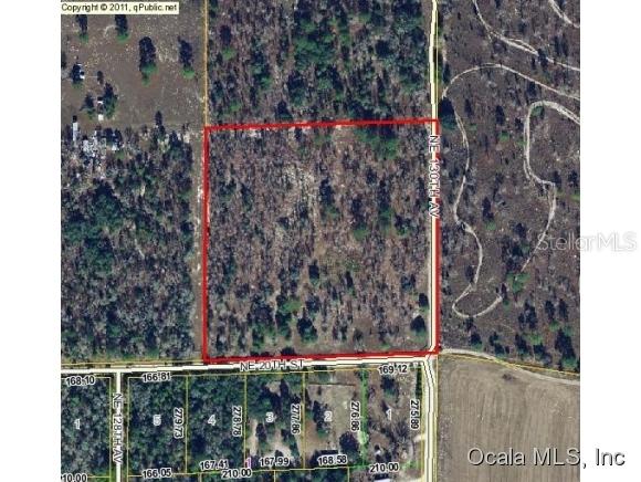 NE 20 St., Williston, FL 32696