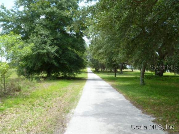 SE 116 Ave., Morriston, FL 32668