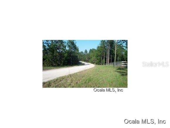 NE 38 Pl., Williston, FL 32696