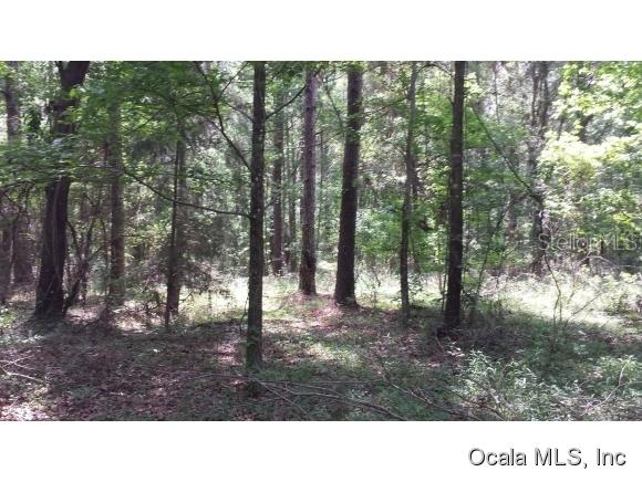 0000 NW 148 Ln., Williston, FL 32686