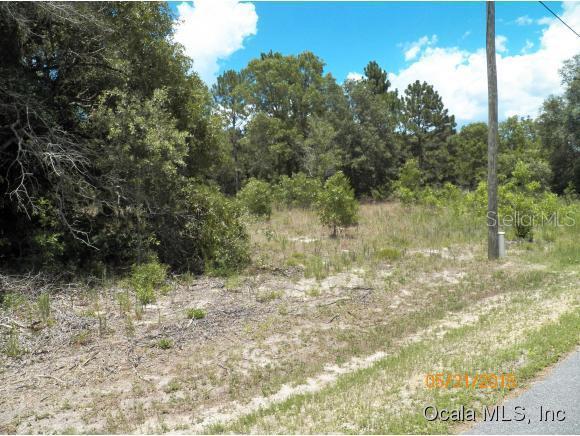 SE 159 Pl., Summerfield, FL 34491