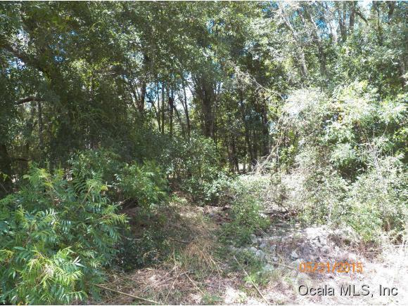 SE 161 St., Summerfield, FL 34491