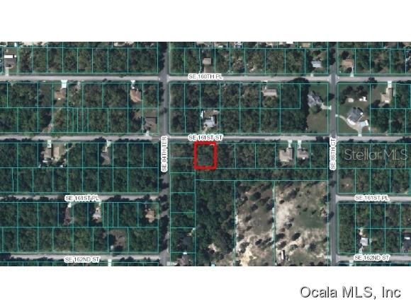 SE 161 St., Summerfield, FL 34491