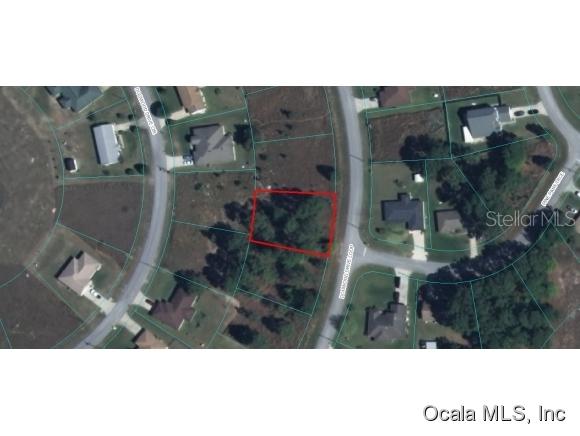 00 Dogwood Drive Loop, Ocala, FL 34472