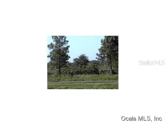 SW 89 Ave., Ocala, FL 34481