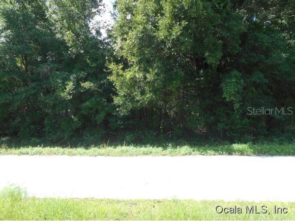 SW 85 Pl., Ocala, FL 34476