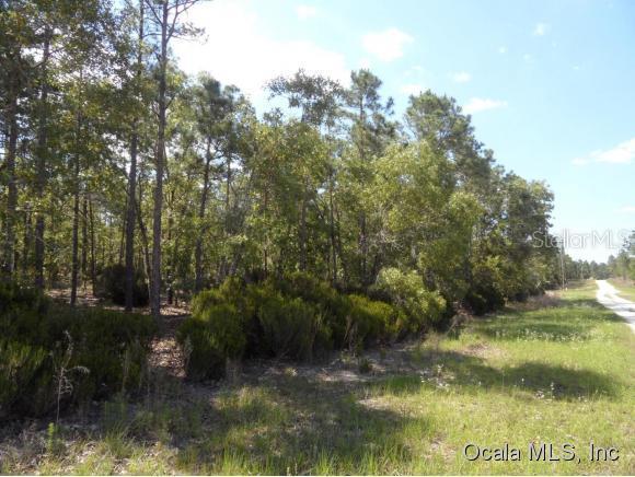 Lot 1 NE Lot 1 131 Ct., Williston, FL 32696