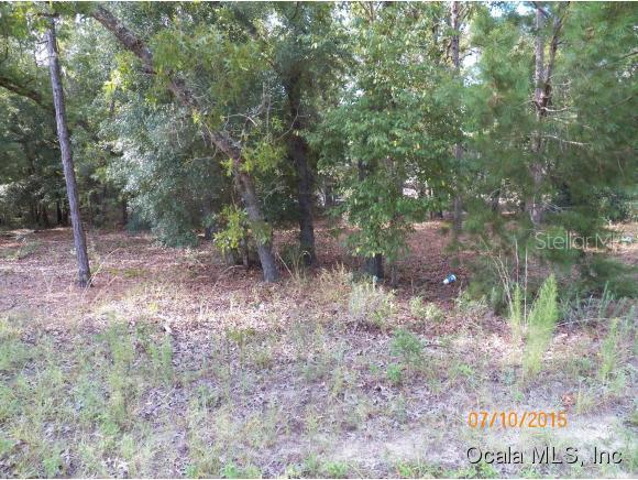 SE 161 Pl., Summerfield, FL 34491