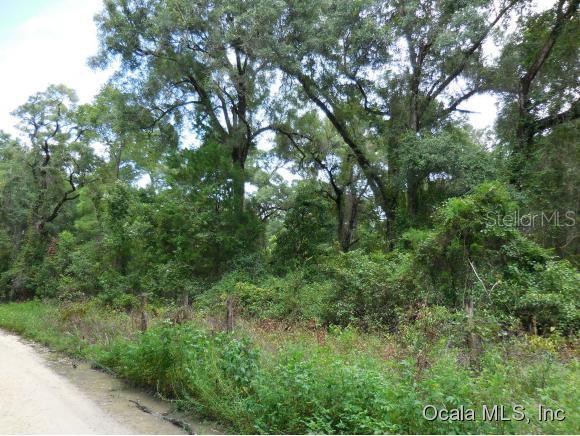 TBD NE 155 Ave / 157 Terrace, Williston, FL 32696