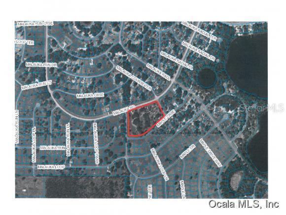 00 SE Malauka Rd., Ocklawaha, FL 32179