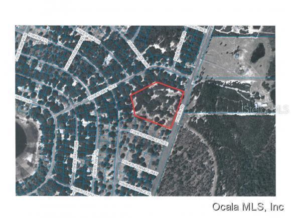 00 SE Fisher Rd., Ocklawaha, FL 32179