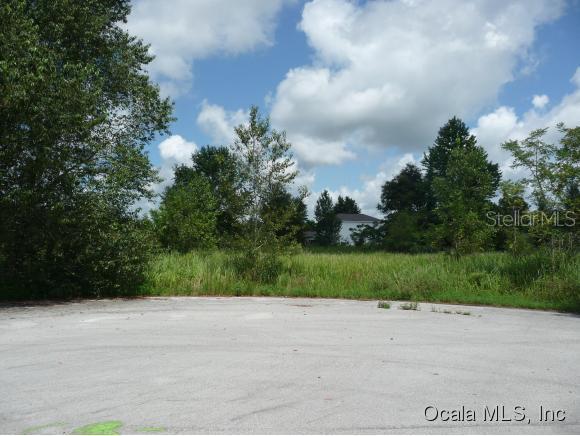 Lot 23 Lot 23 Willow Tr., Ocala, FL 34472