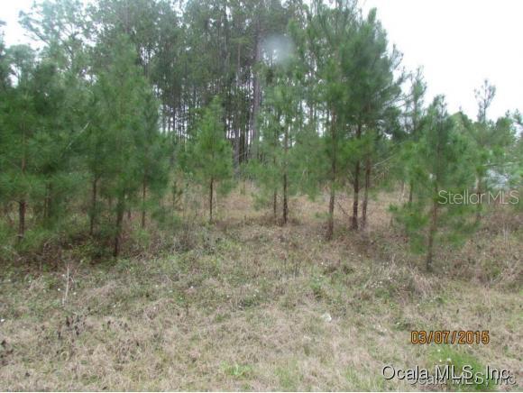 8650 SE 180 Avenue Rd., Ocklawaha, FL 32179