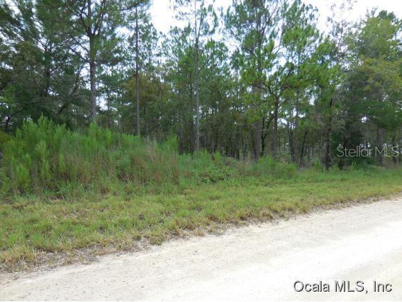 SE 6 Ln., Williston, FL 32696