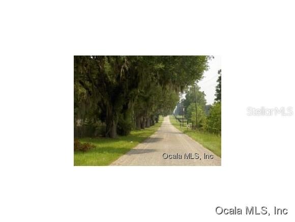 NE 185 Ave., Williston, FL 32696