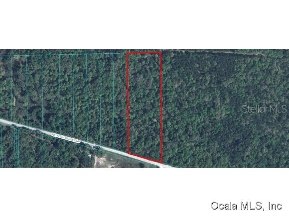 TBD NE 175 Street Rd., Citra, FL 32113