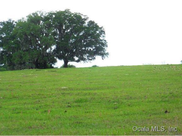 0000 NW 162 Ct., Morriston, FL 32668
