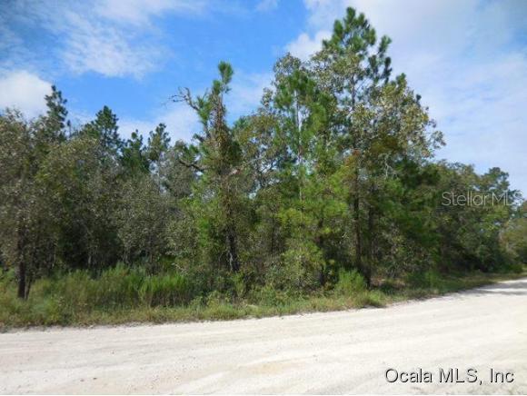 NE 130 Ave & 12 St., Williston, FL 32696