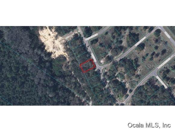 00 Sequoia Drive Trace Dr., Ocklawaha, FL 32179