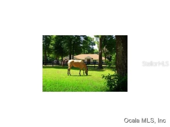 1177 NW 100 Ave., Ocala, FL 34482