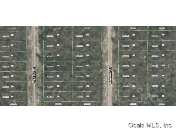 00 Houston St., Interlachen, FL 32148