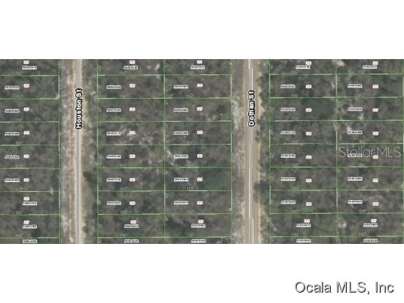 00 Dothan St., Interlachen, FL 32148