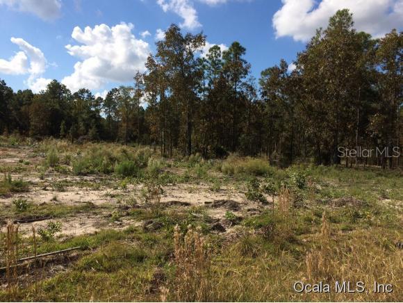 TBD NE Tbd 70 St., Williston, FL 32696