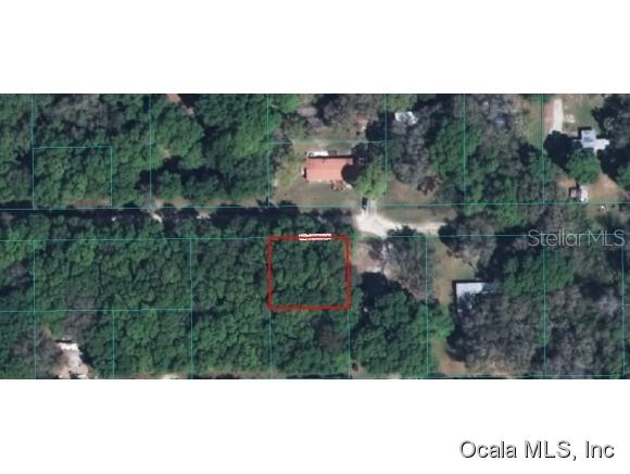 00 NE 169th Ln., Citra, FL 32113