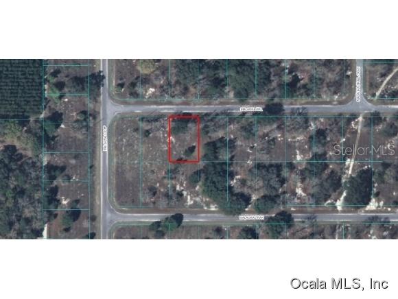 100 Malauka Tr., Ocklawaha, FL 32179