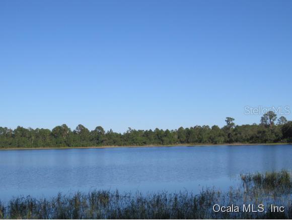 246 Malauka Loop, Ocklawaha, FL 32179