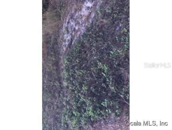 1 SE 162 Pl., Summerfield, FL 34491