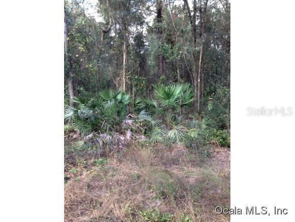 SE 179 Pl., Summerfield, FL 34491