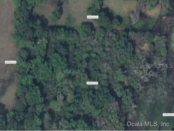 10787 NW 28th Pl., Ocala, FL 34482