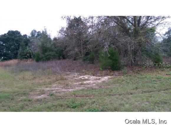 SE 109 Ln., Summerfield, FL 34491