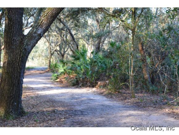 Mascotte Empire Rd., Groveland, FL 34736