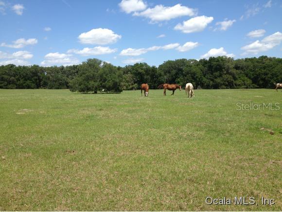 NW 100th St., Ocala, FL 34475