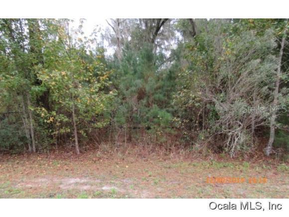 NW 115 St., Ocala, FL 34482