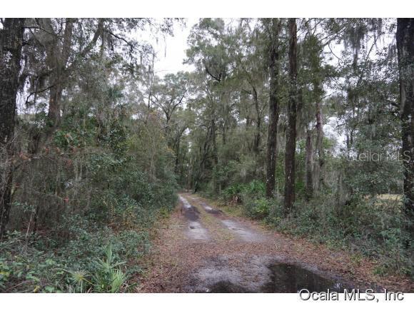4344 SE 145th St., Summerfield, FL 34491