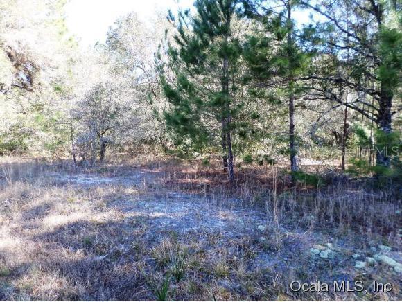 11646 W Cockscomb Null Dr., Crystal River, FL 34428