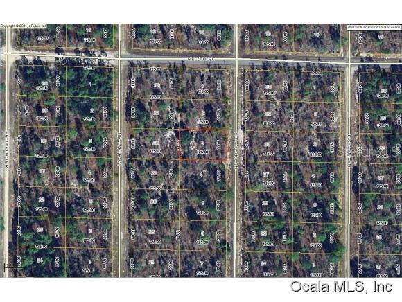 NE 148th Ter., Williston, FL 32696